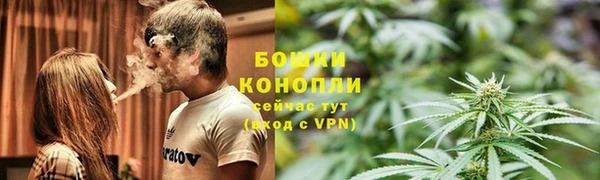 дурь Липки