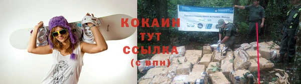 дурь Липки