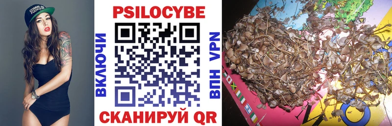 Псилоцибиновые грибы Cubensis  Подольск 